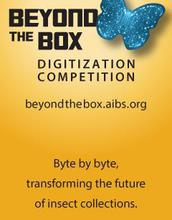 the bug box competition poster
